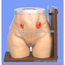 advanced simulator OSTOMY CARE